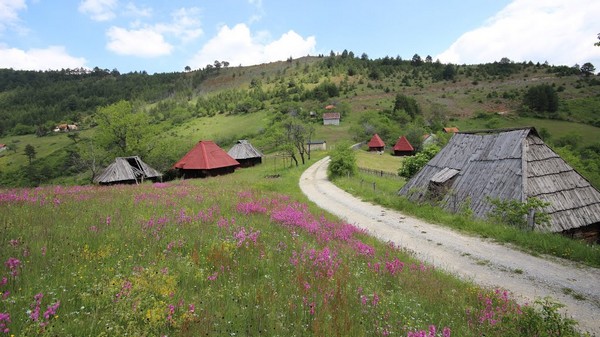 Dobroselica - Palisad